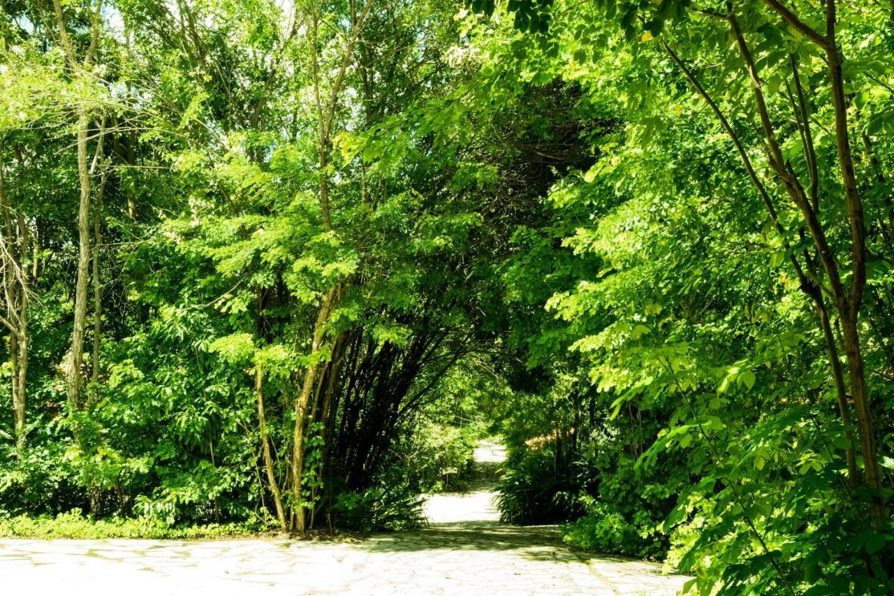 Pousada Villa Das Pedras Pirenópolis Zewnętrze zdjęcie